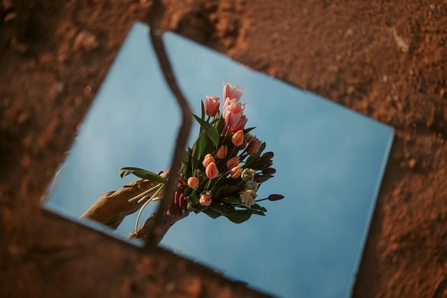 - Heyecan Dolu Anlar: Mirror Korku Evi